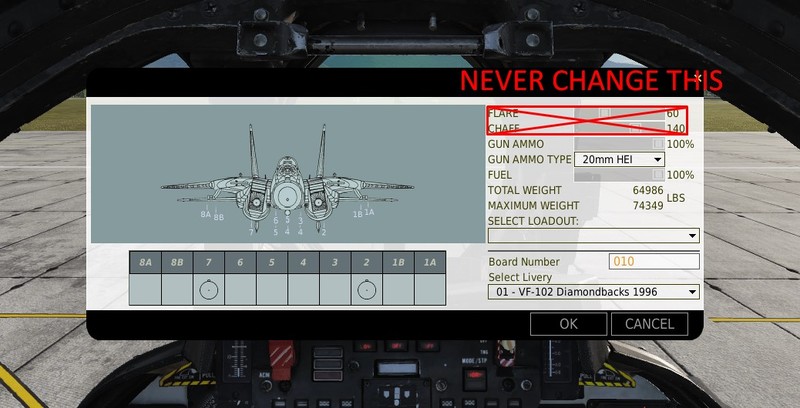 File:F14 CMS loadout2.jpg