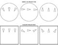 Thumbnail for version as of 07:30, 5 February 2021