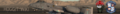 Thumbnail for version as of 05:47, 18 May 2018