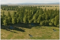 Thumbnail for version as of 06:48, 21 May 2021